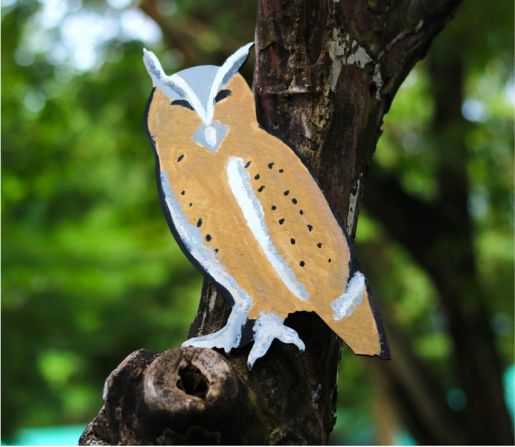 cognita green valley 4