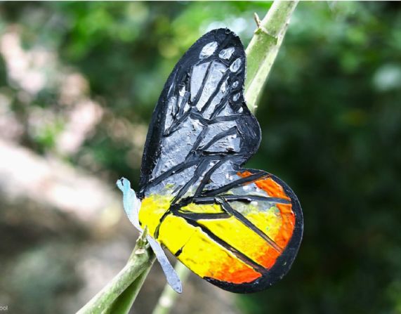 cognita green valley 5