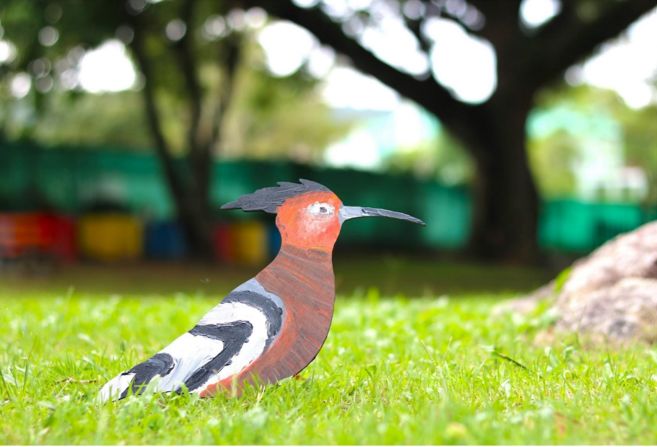 cognita green valley 6