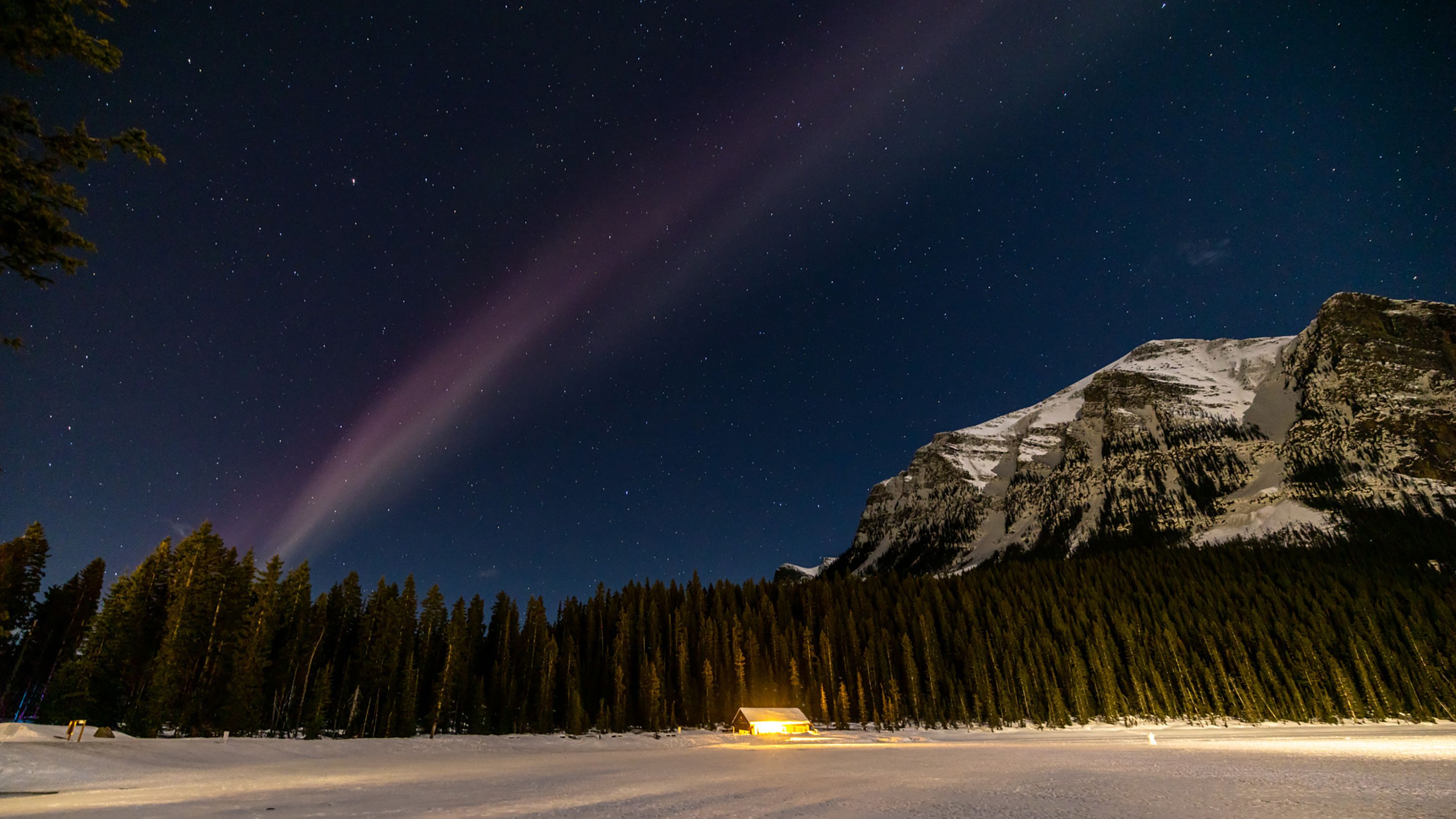 Steve: The aurora-like light show you can help research