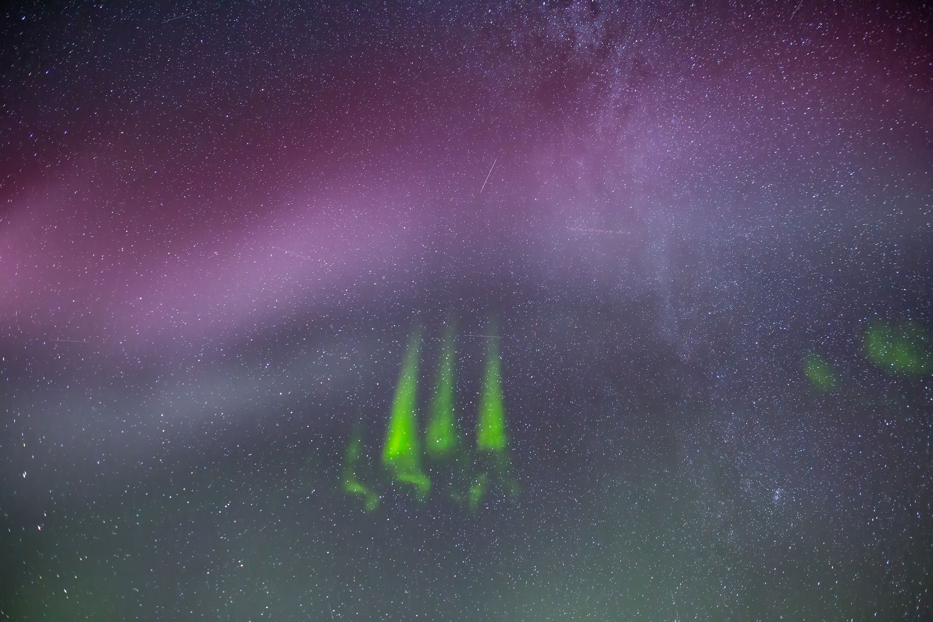Steve: The aurora-like light show you can help research