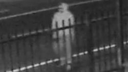 la homeless killer suspect
