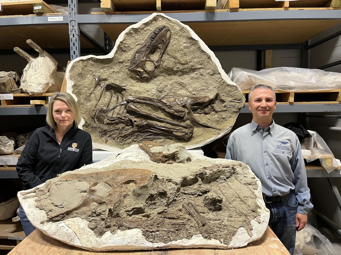 Dr. François Therrien (Curator of Dinosaur Palaeoecology at the Royal Tyrrell Museum) and Dr. Darla Zelenitsky (Assistant Professor at University of Calgary) stand next to the young Gorgosaurus specimen.