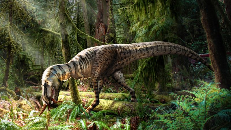 Младият тиранозавър имаше вкус към бебета динозавъри, разкрива редки вкаменелости