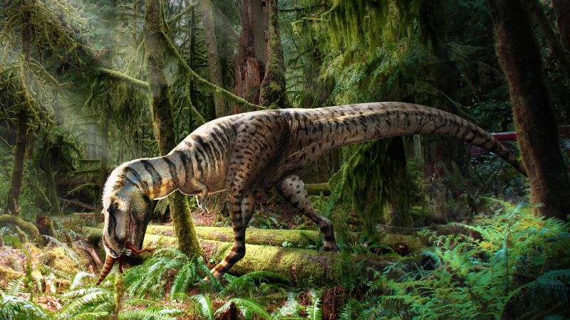 Teen tyrannosaur had a taste for baby dinos, rare fossil reveals | CNN