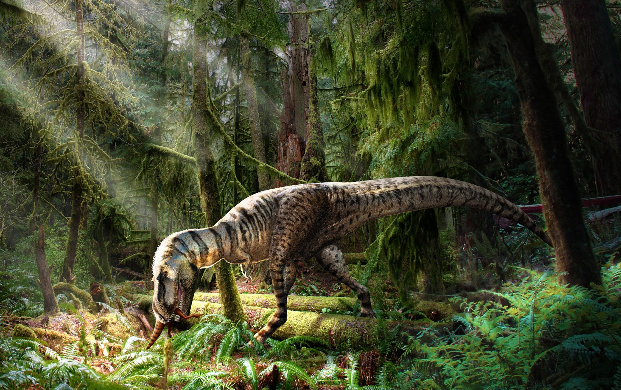 The Dino That Looked T. Rex-y Long Before T. Rex