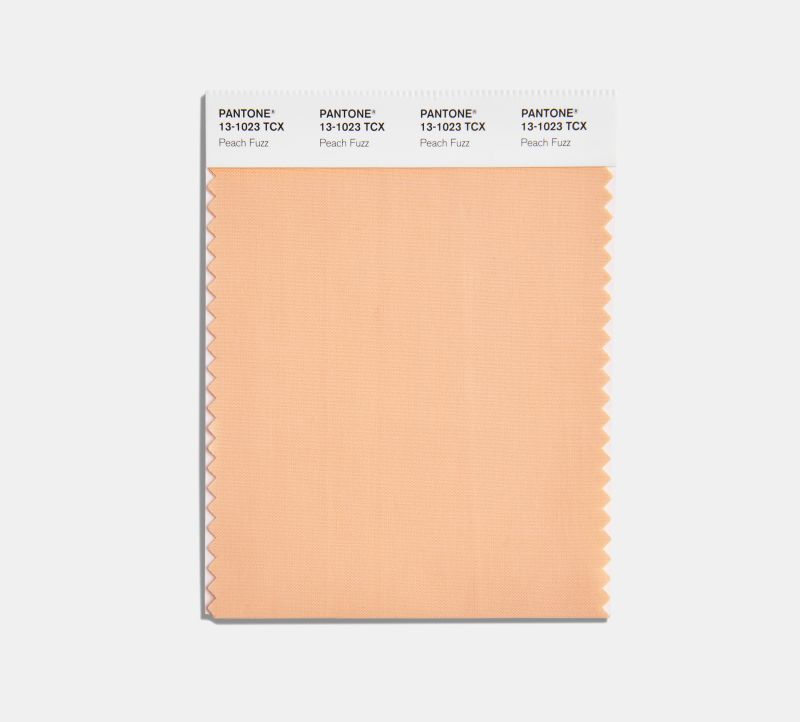 Pantone S 2024 Color Of The Year Is Peach Fuzz Here S What It Means   231205130828 06 Pantone Color The Year 