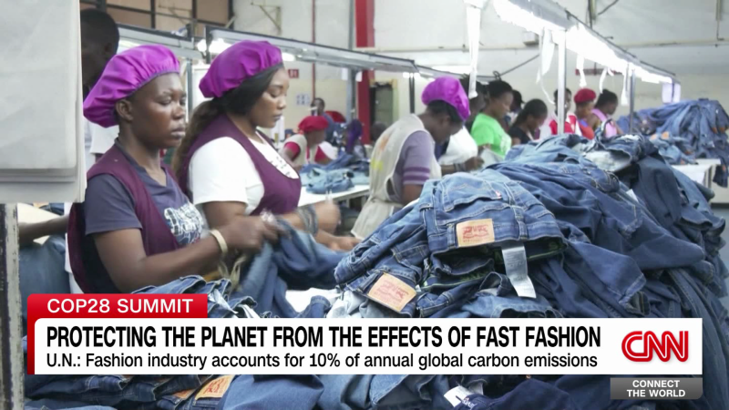 Advocating for Change: The Necessity of Tariffs on Leather and Polluting Materials