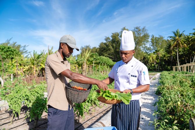 <strong>The Farm:</strong> Key to Alphonse Island's sustainability drive is a facility called The Farm, where much of the produce consumed in the accommodation is grown to cut down on the environmental burden caused by importing food.