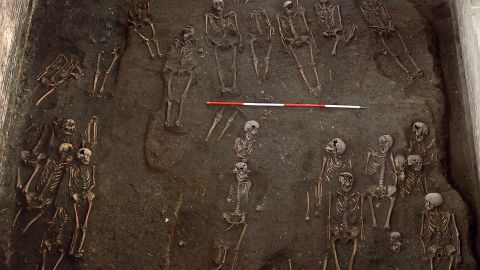 The remains of numerous individuals unearthed on the former site of the Hospital of St. John the Evangelist, taken during the 2010 excavation.
Credit: Cambridge Archaeological Unit/St John's College