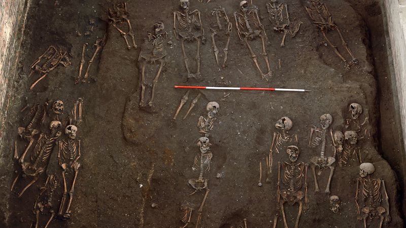 „Биографии на кости“ разкриват какъв е бил животът на ежедневните средновековни хора