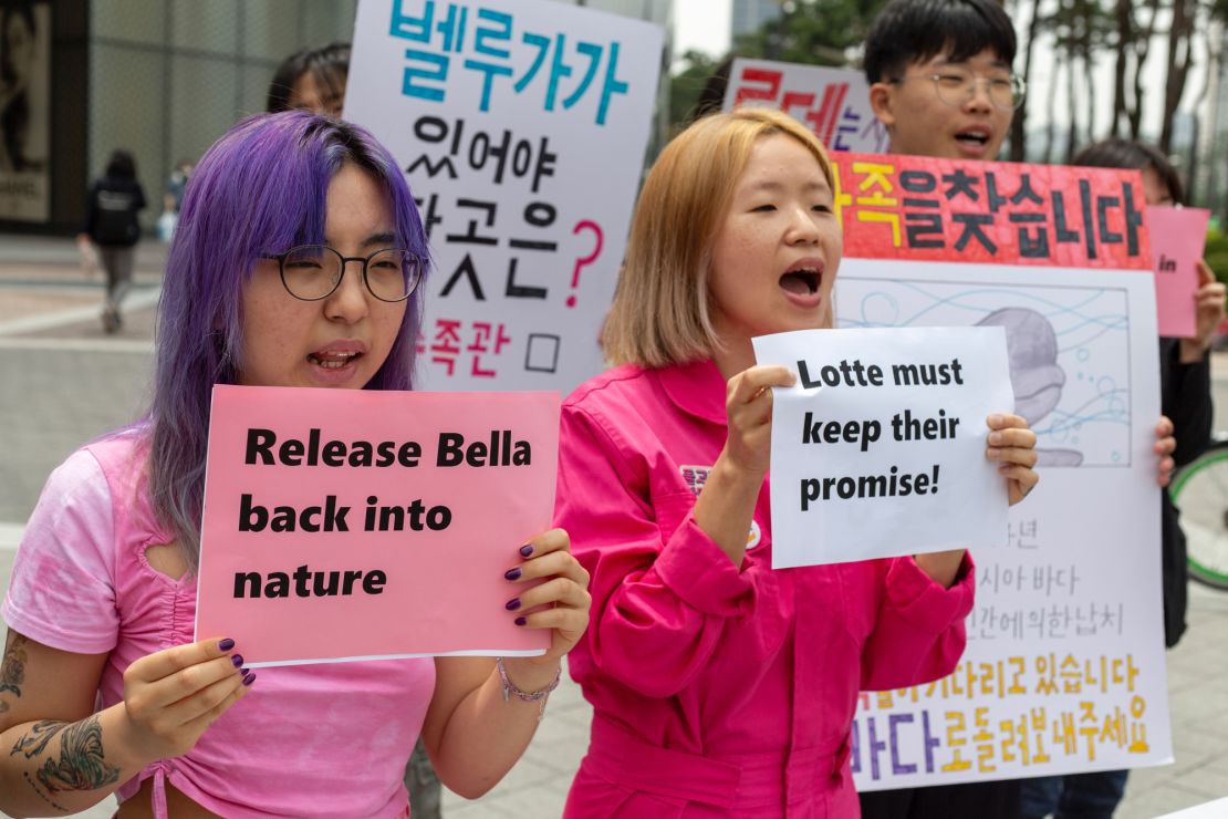 Protestors demand the release of Bella the Beluga whale in Seoul, South Korea.