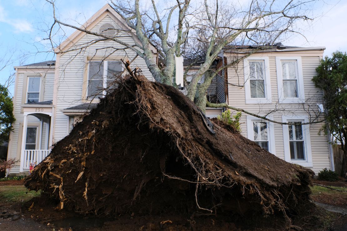 A tree uprooted on Nesbitt Lane a day after a tornado hit Madison, Tennessee, U.S. December 10, 2023.