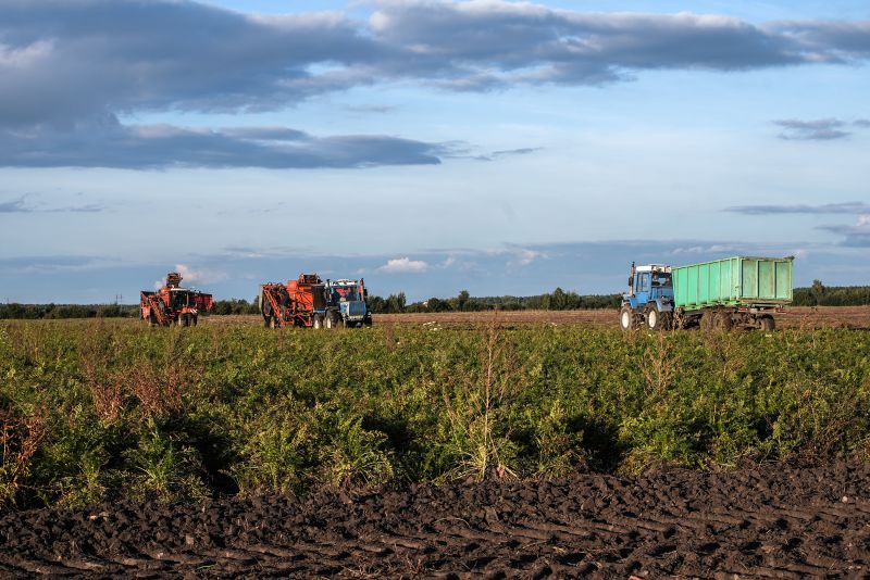 Insights into American Politics: Putin's Perspective