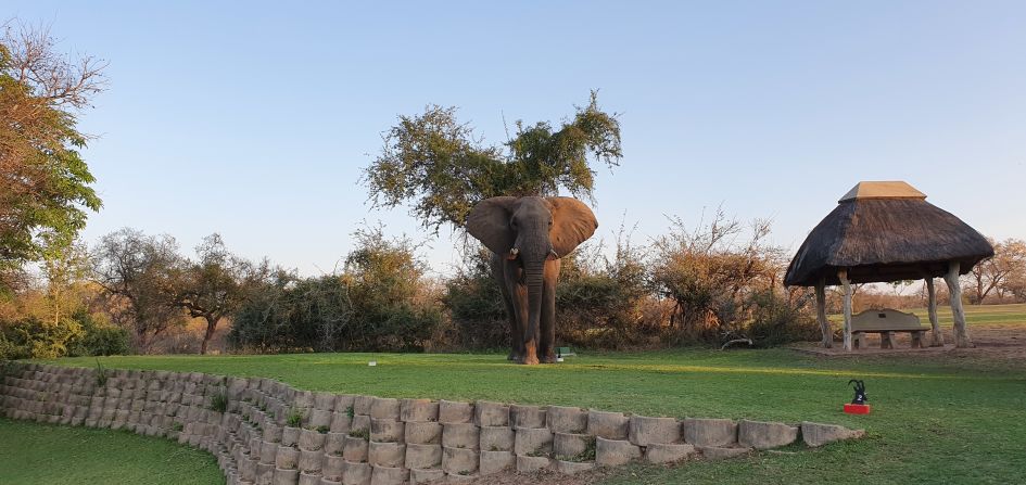 The nine-hole course has no fences, offering unrestricted entry to elephants and the vast array of species native to the country's oldest national park.