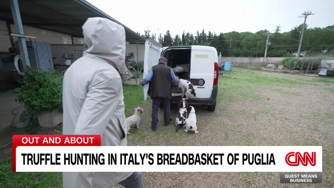 Inside the lucrative business of truffle hunting CNN Business