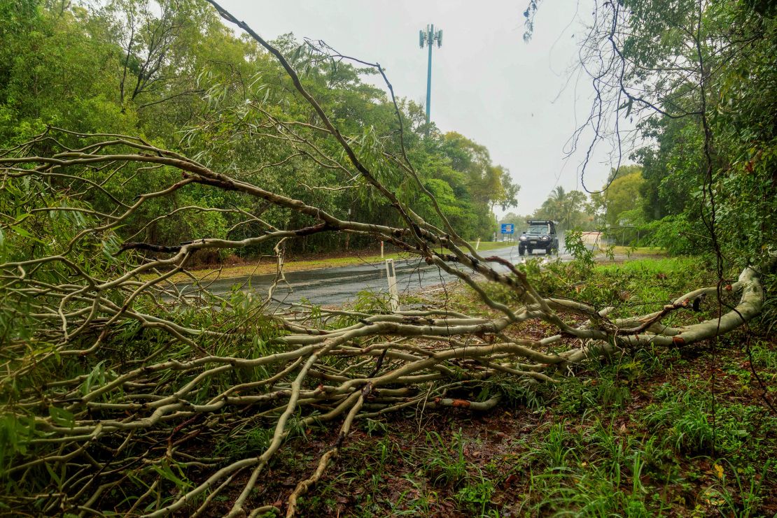 Fallen trees are seen in a suburb in Cairns, Australia, Saturday, Dec. 16, 2023, following heavy rains in the area.