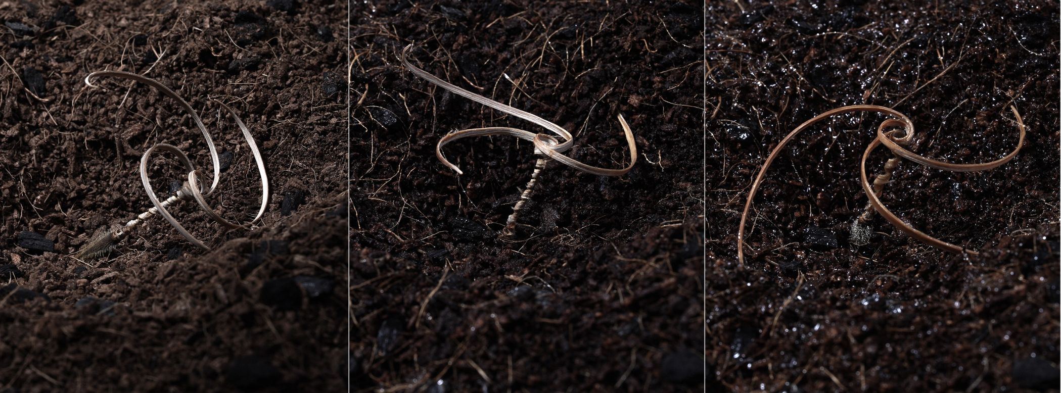 Selfdrilling device plants seeds in the soil CNN