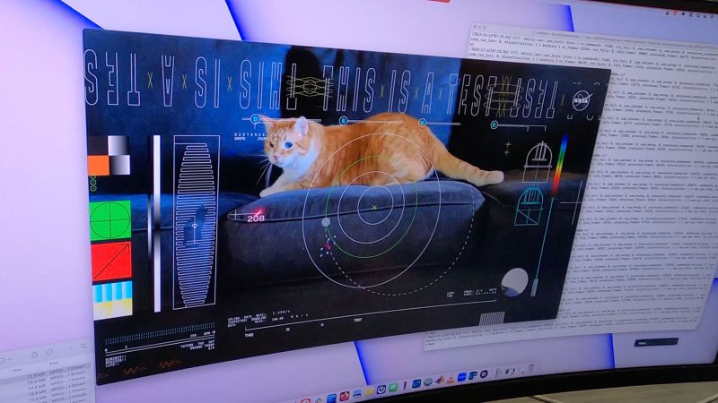 NASA just sent back a video of cats from space using lasers