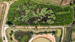 A lively cat image created by Thunyapong Jaikum, a thai farmer and artist, is seen in rice fields in Chiang Rai province, north of Thailand, December 16, 2023.