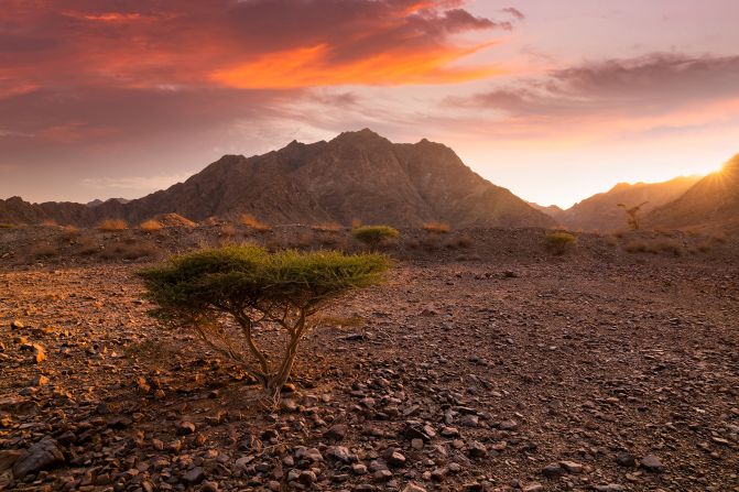 <strong>Fujairah: </strong>One of the smaller and lesser-known emirates of the United Arab Emirates, Fujairah is filled with spectacular mountain ranges and pristine beaches.