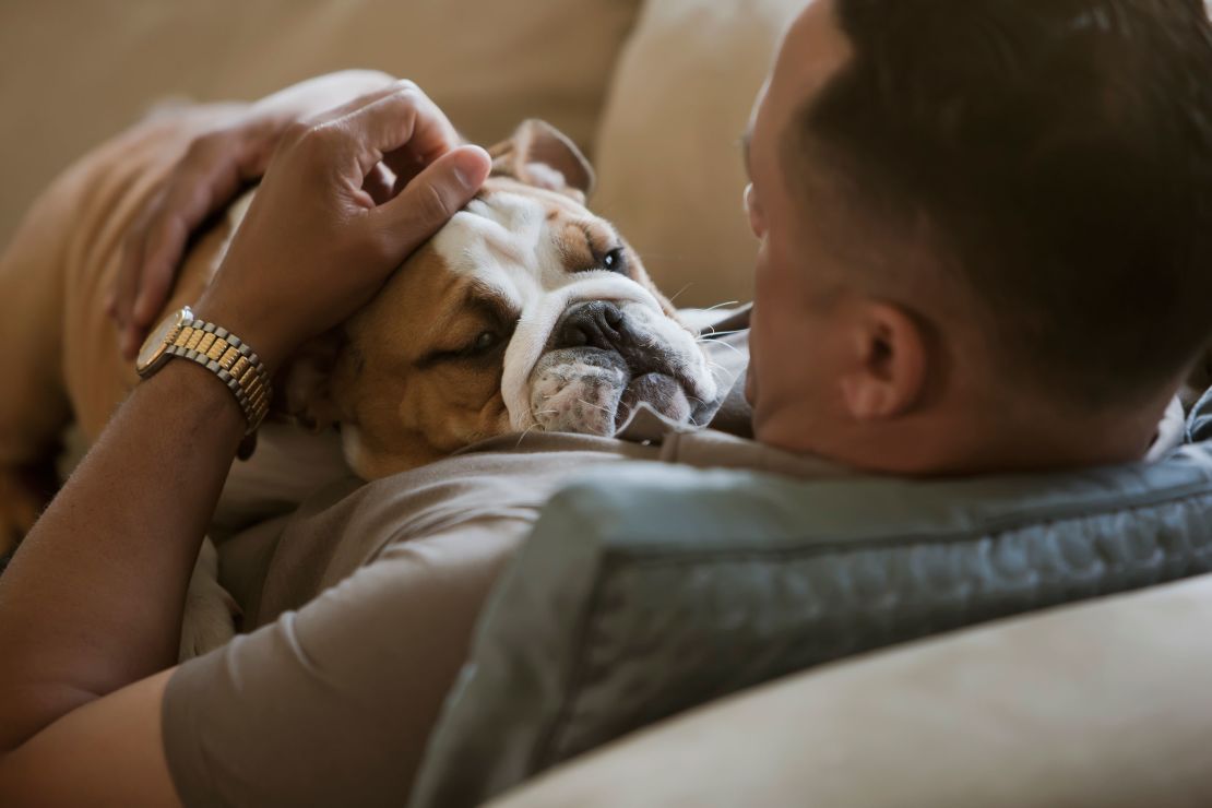 Spending time physically interacting with your pet can help reduce stress and anxiety.