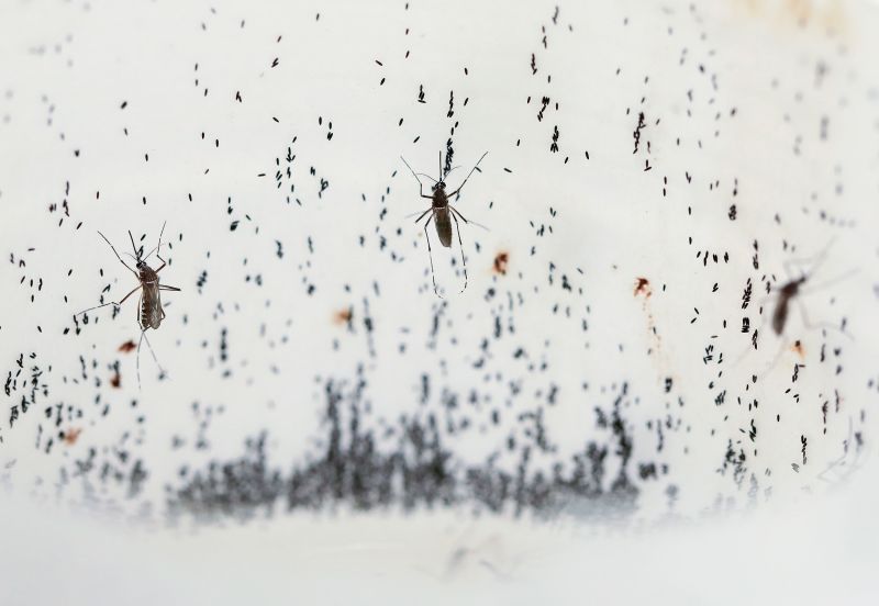 nyc spraying for mosquitoes        
        <figure class=