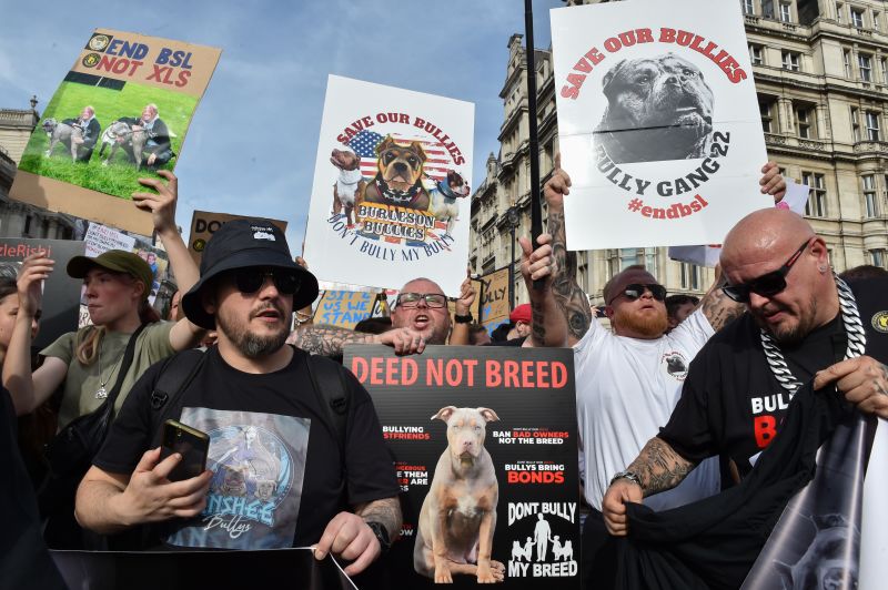 England And Wales Ban On XL Bully Dog Breed To Take Effect Sunday CNN   231228123040 Restricted American Xl Bully Dog Protest London 10 07 2023 