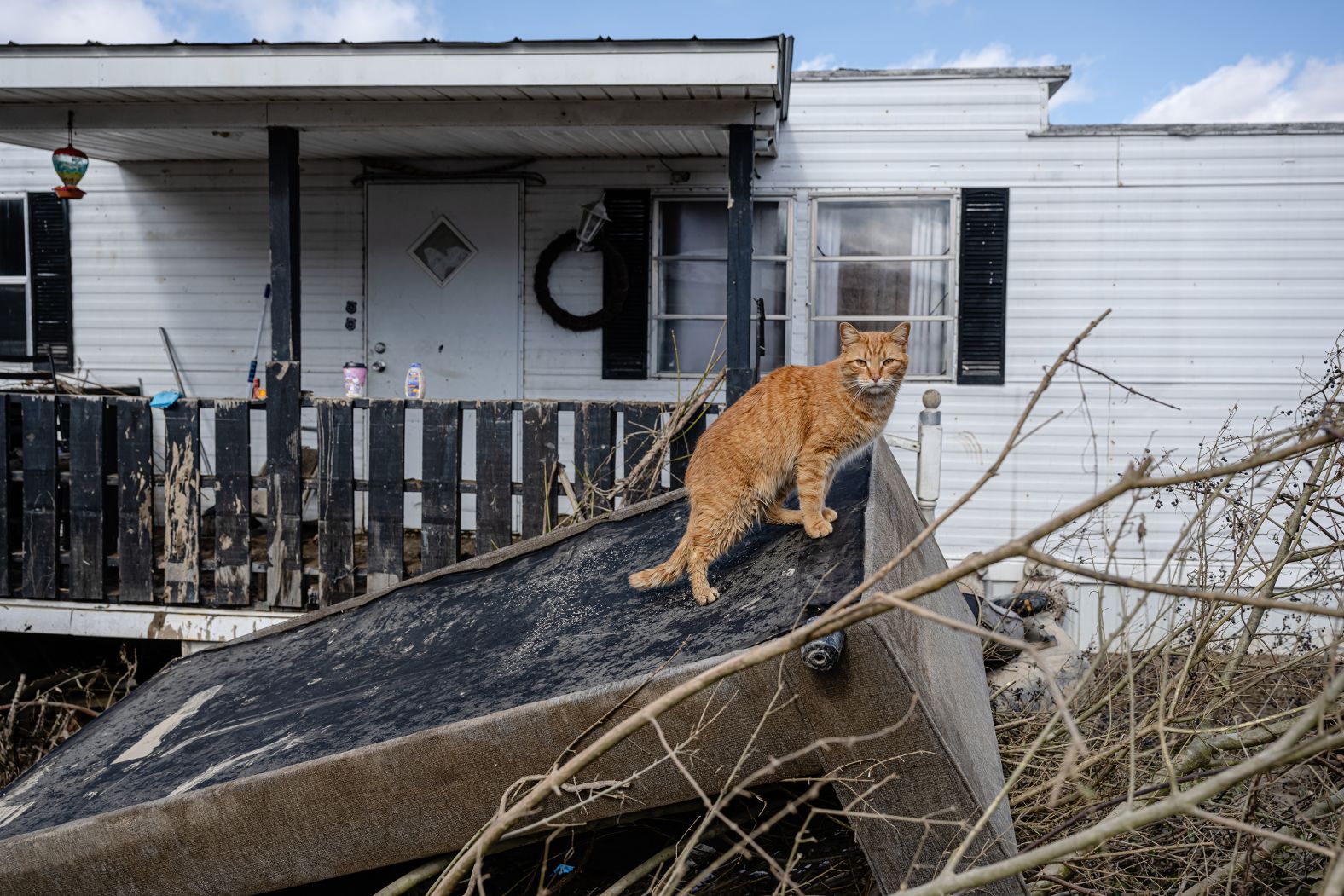 A cat sits on a couch outside a mobile home in Pikeville, Kentucky, following <a href="https://www.cnn.com/2025/02/17/us/deadly-winter-storm-eastern-us/index.html">flooding</a> in the neighborhood on Monday, February 17.
