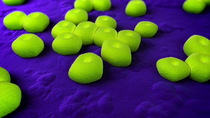 The study says the new antibiotic uses a new method to target deadly drug-resistant bacteria