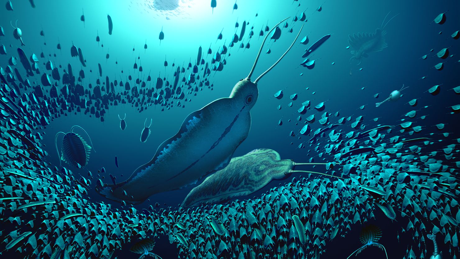 A reconstruction of the pelagic ecosystem and the organisms fossilised in Sirius Passet, revealing how Timorebestia was one of the largest predators in the water column more than 518 million years ago. CREDIT: Artwork by Bob Nicholls/@BobNichollsArt