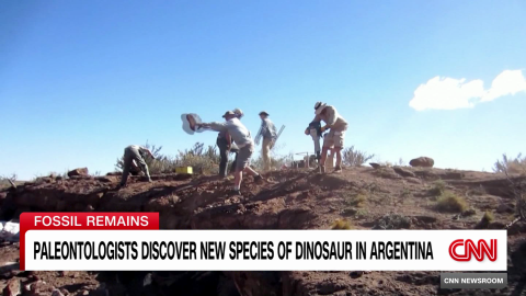 exp New species dinosaur argentina 010502aseg2 cnni world_00000511.png