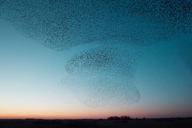 Solkær began photographing the starlings in 2017 near his childhood home in the marshlands of Southern Denmark and quickly became obsessed. "Every time it happens, it's new, it's unique," he said.