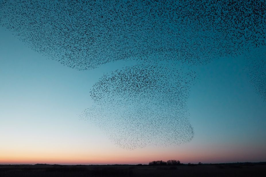 Birds on Colorful Sky with Sun Fabric