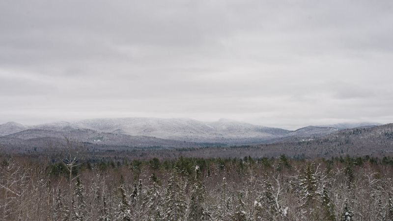 Hiker clung to small tree throughout night in freezing temperatures ...