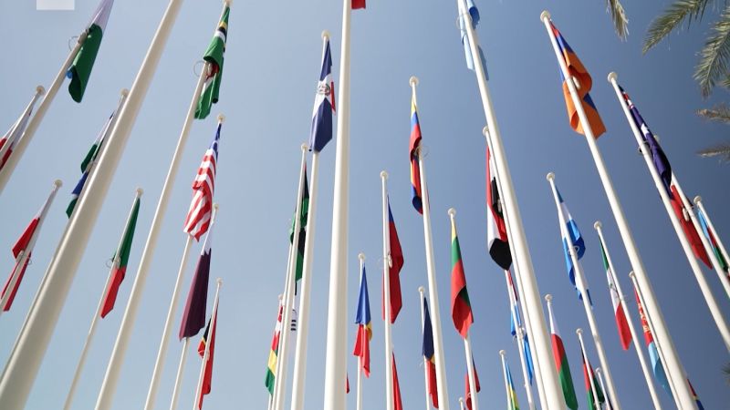 What 2024 has in store for Middle Eastern economies | CNN Business