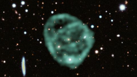 Data from SARAO's MeerKAT radio telescope data (green) showing the odd radio circles, is overlaid on optical and near infra-red data from the Dark Energy Survey.