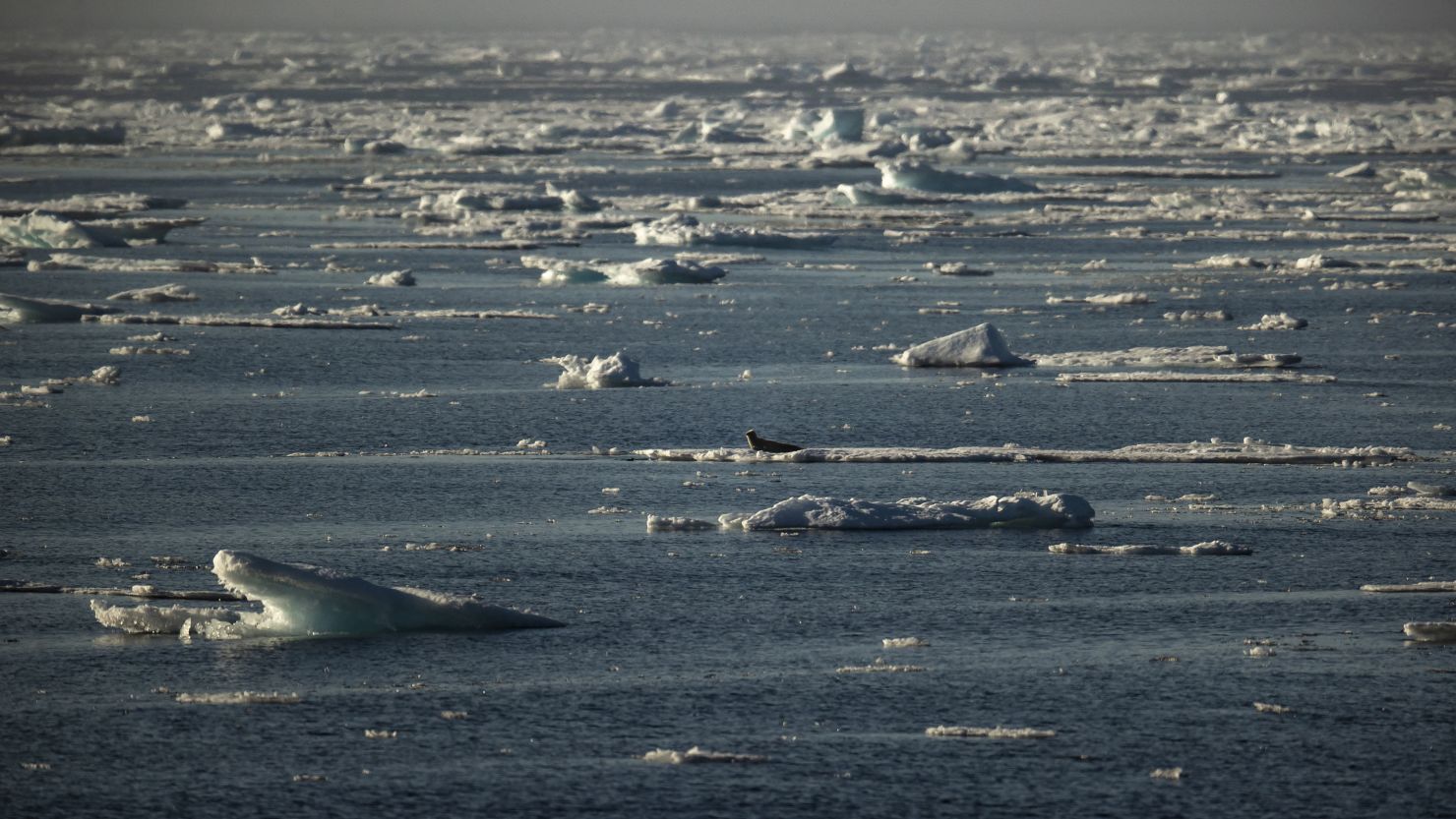 Norway parliament approves highly controversial deep sea mining | CNN