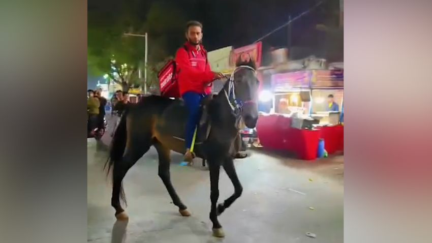 horse india delivery driver
