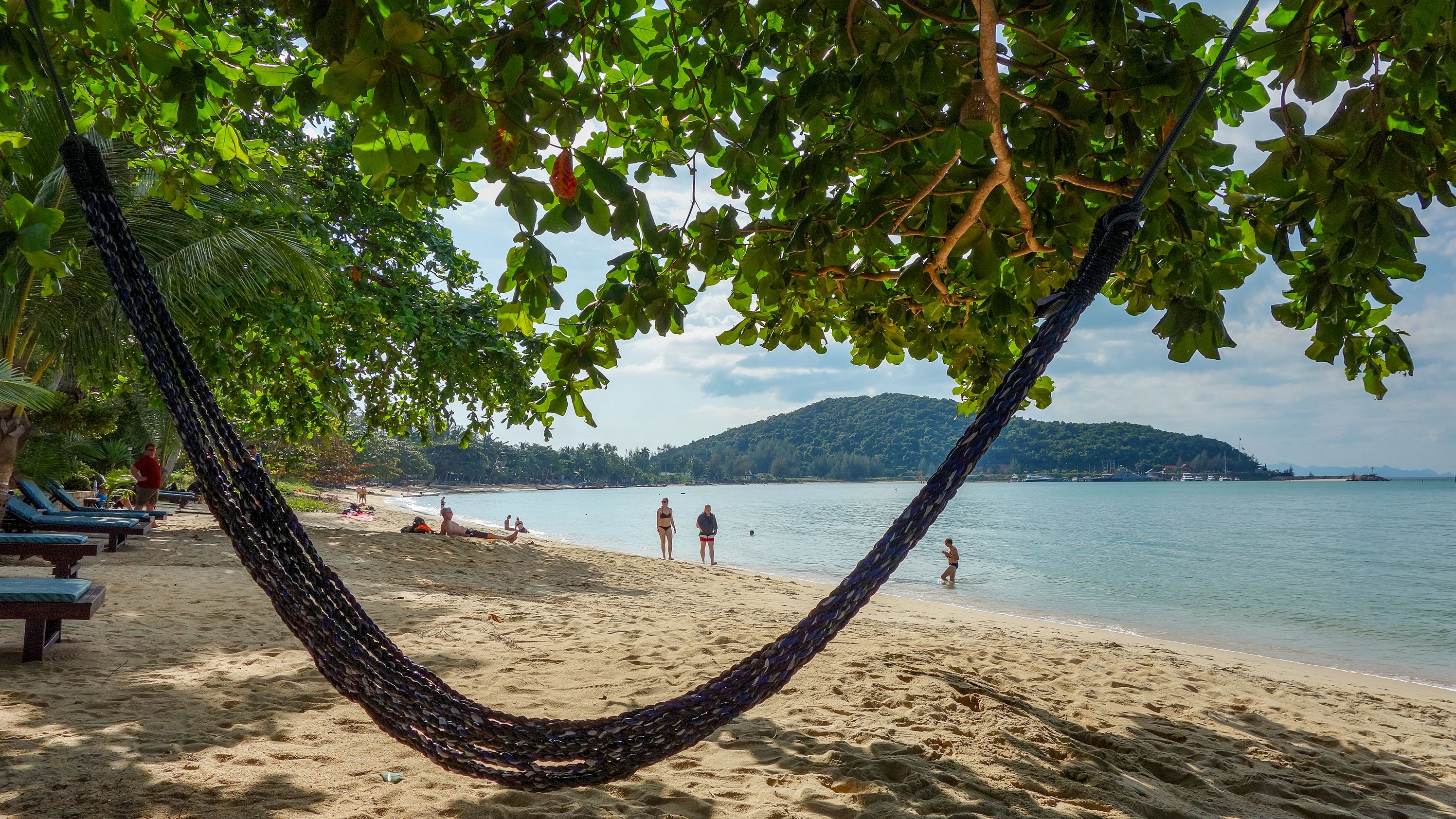 11 December 2019, Thailand, Koh Samui: An empty hammock on a beach.
