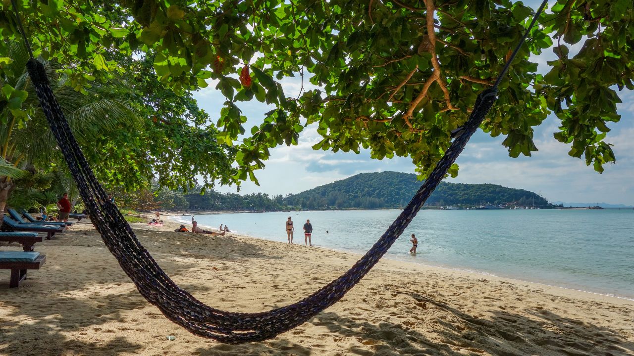 11 December 2019, Thailand, Koh Samui: An empty hammock on a beach.