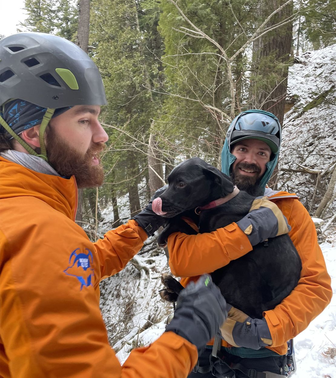 El Servicio de Parques Nacionales dice que un perro de 3 años llamado Dancer fue rescatado y reunido con sus dueños después de caer desde un acantilado de 60 pies cerca del Lago Superior en Michigan.