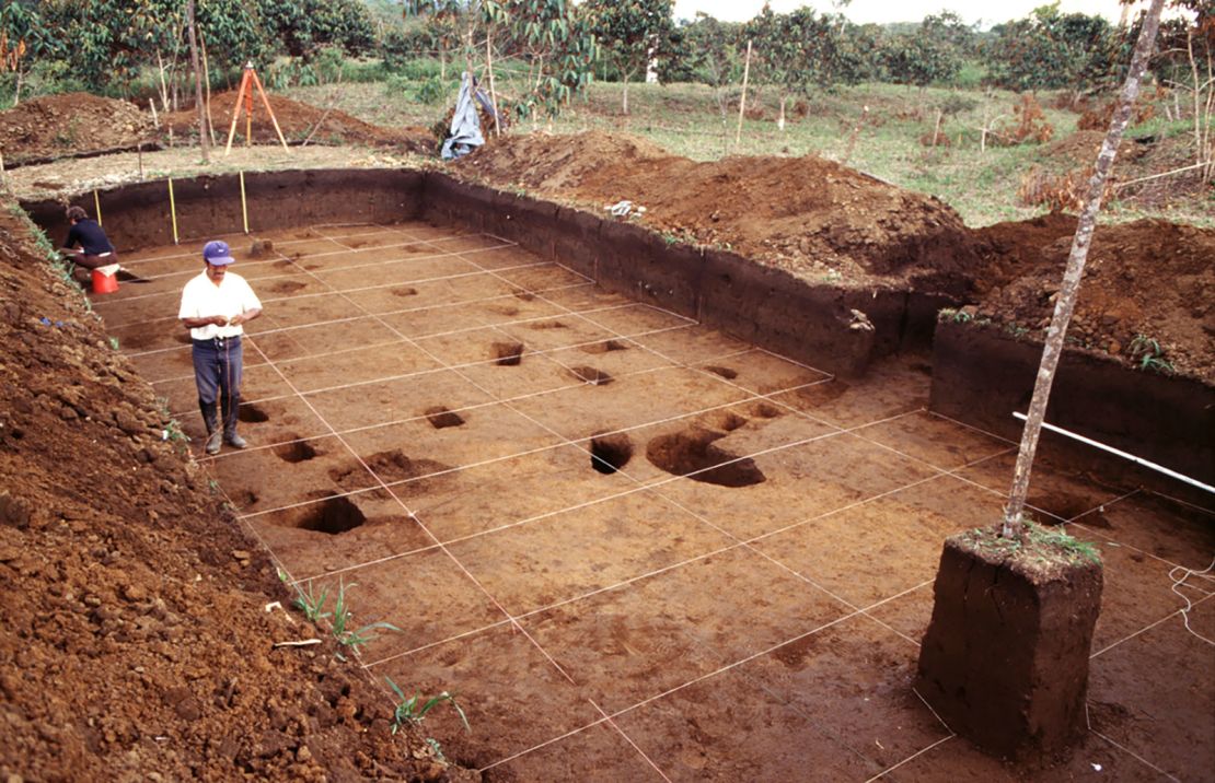 Large-scale archaeological excavation on one earth platform of the Kilamope site, Upano Valley, Ecuador