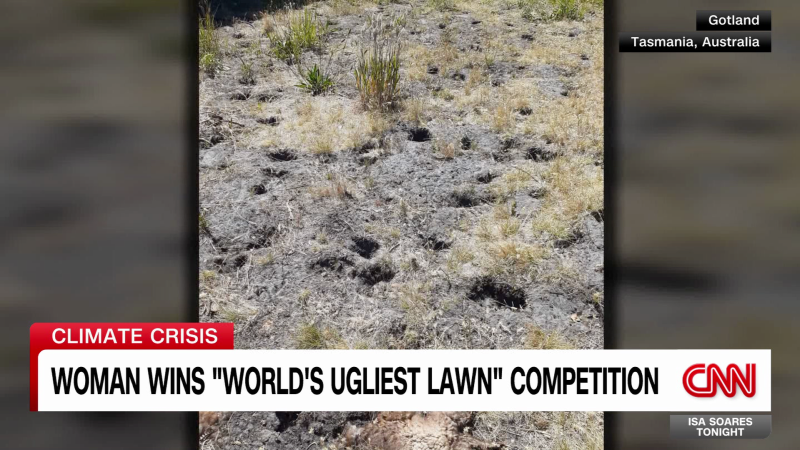 Woman wins ‘world’s ugliest lawn’ competition