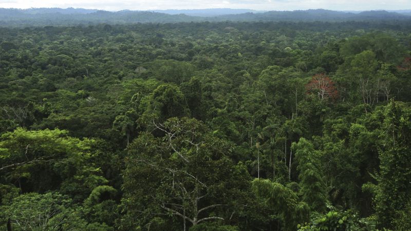 Археолози работещи дълбоко в тропическите гори на Амазонка са открили