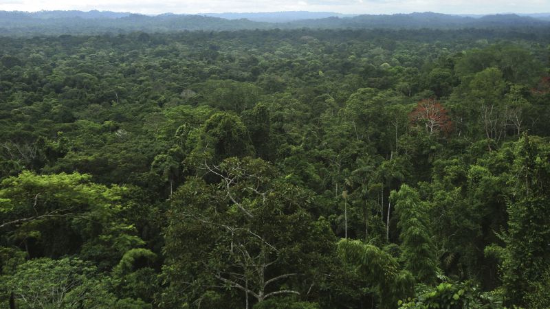 Huge network of ancient cities uncovered in the Amazon rainforest