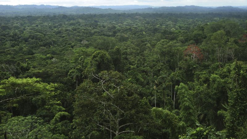 Huge network of ancient cities uncovered in the Amazon rainforest