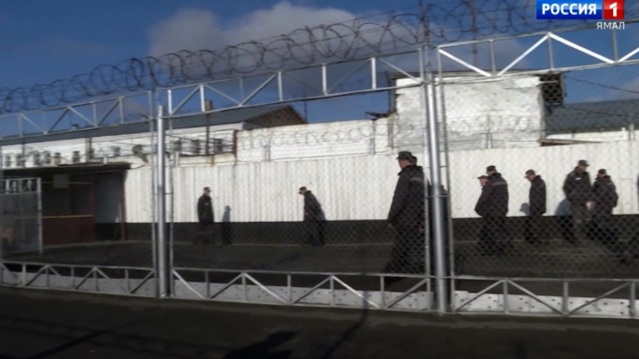 navalny penal colony