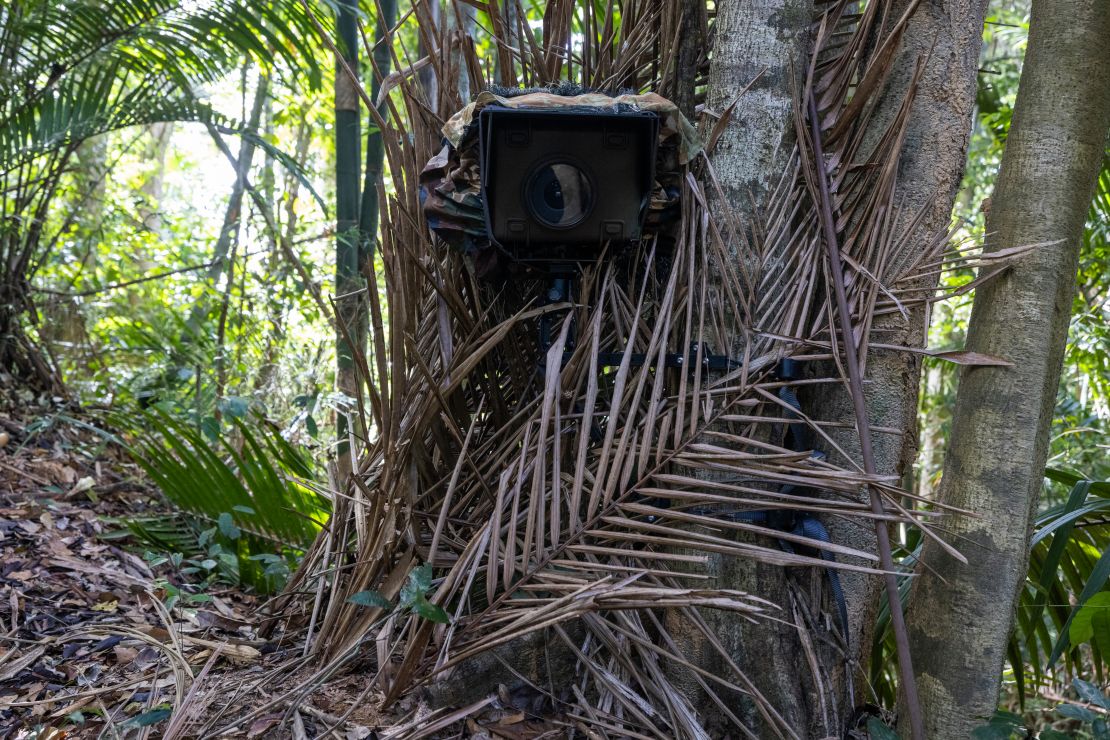 Rondeau's high-resolution camera traps included a DSLR camera in a waterproof casing.