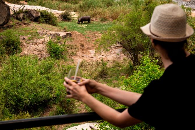 With an enviable nature-watching position on the bridge, some visitors choose to have a stationary safari with home comforts close by.